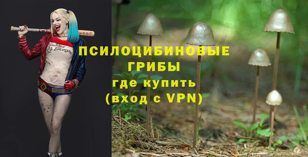 твердый Алзамай