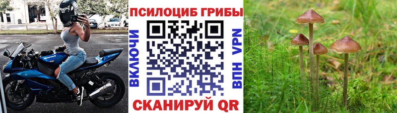 Псилоцибиновые грибы ЛСД  МЕГА ссылка  Всеволожск  закладка 
